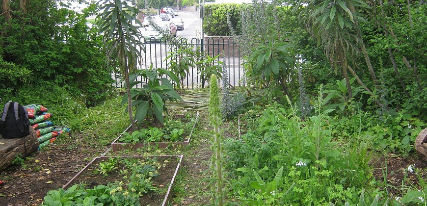 
            Thank you to the Lower Norton Allotment Association