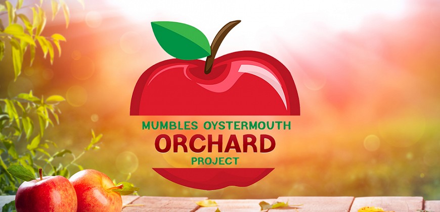 
                    MCC on Orchard Recovery Project