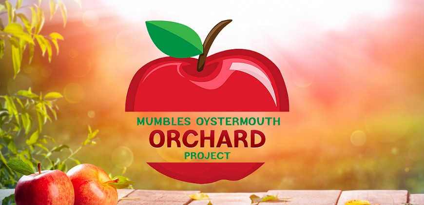 
                    MCC on Orchard Recovery Project